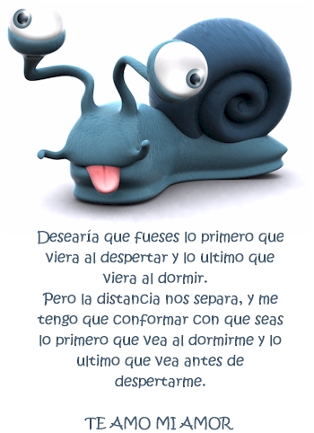 6-meses